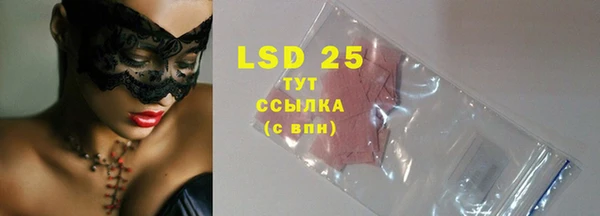 ГАЛЛЮЦИНОГЕННЫЕ ГРИБЫ Заволжье