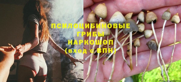 мяу мяу кристалл Заводоуковск
