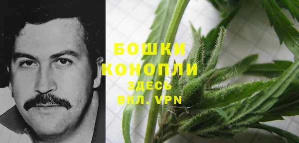 ГАЛЛЮЦИНОГЕННЫЕ ГРИБЫ Заволжье