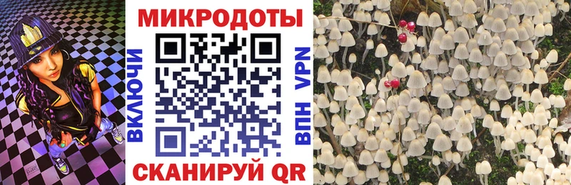 Псилоцибиновые грибы Magic Shrooms  Купить где  Великий Новгород 